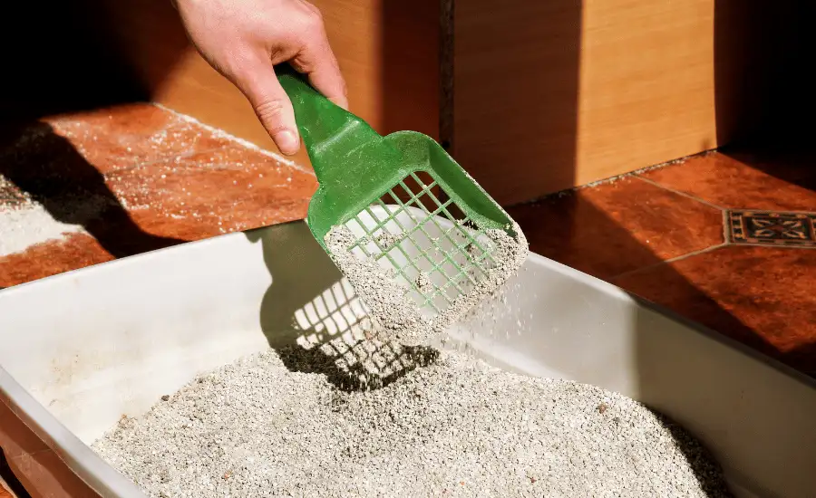 Cleaning a litter box