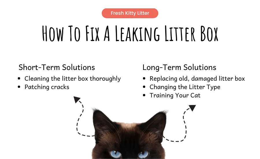 Fixing a leaking litter box