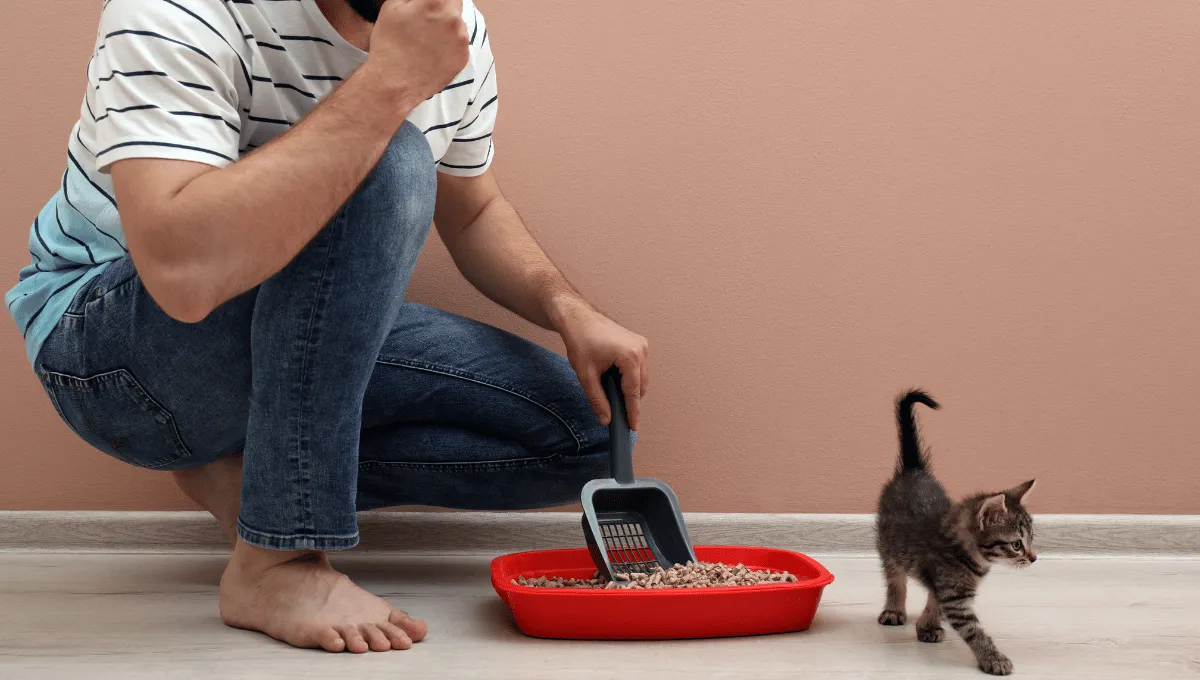 Man holding his nose due to the bad smell coming from the litter box