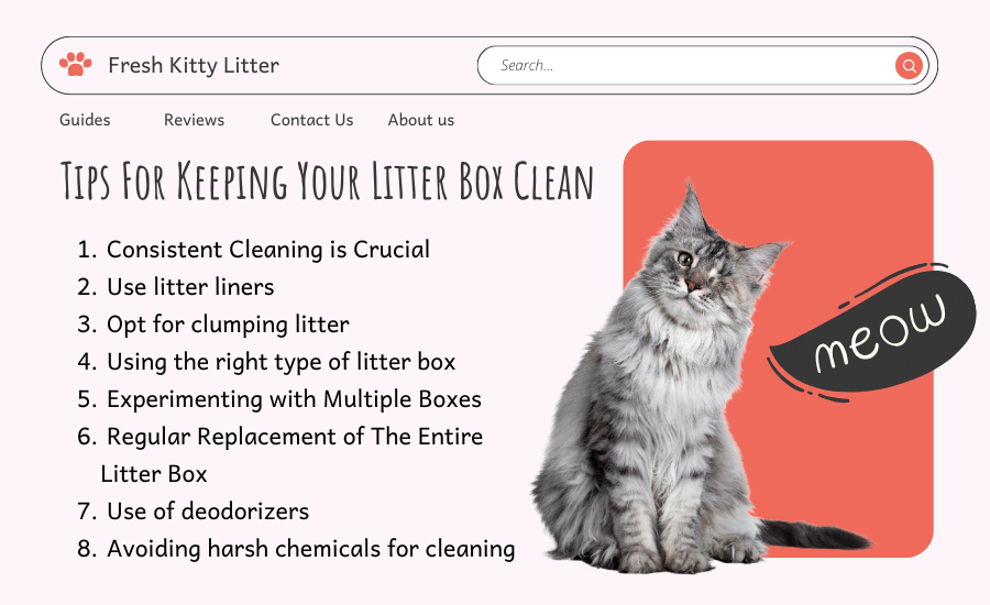 Tips For Keeping Your Litter Box Clean