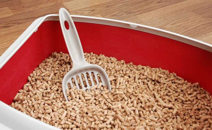 Cat litter box along with a white coloured scoop filled with cat litter