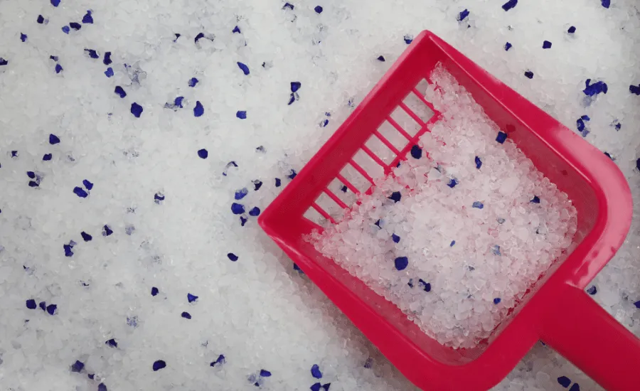 Silica gel litter and a pink plastic scoop