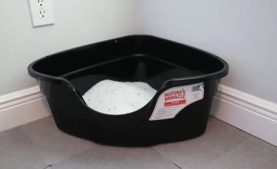 Black Coloured Corner Litter Box Kept At The Corner