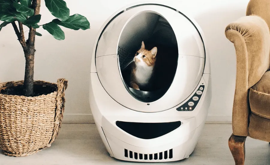 Cat Inside A White Self-cleaning Litter Boxes