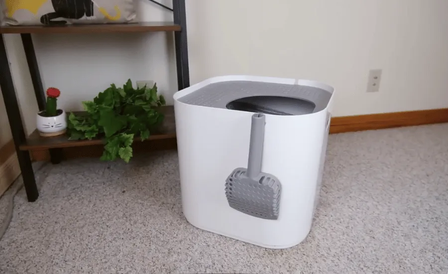 White Top-Entry Litter Box