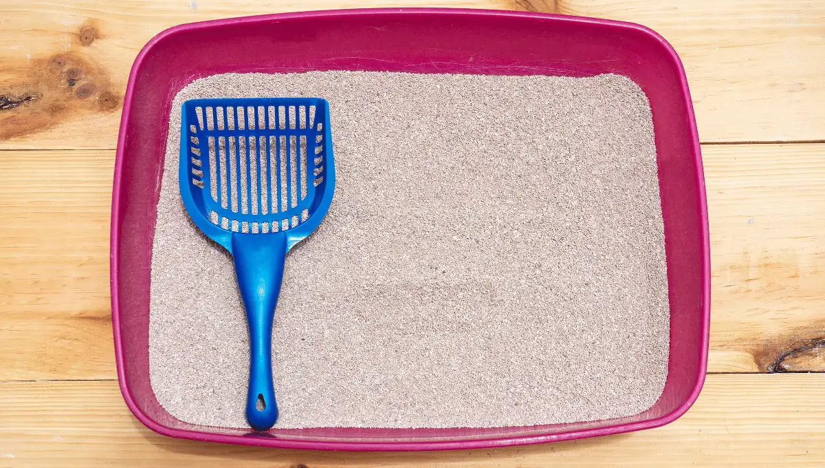 Pink Coloured Open litter box with a scoop on it