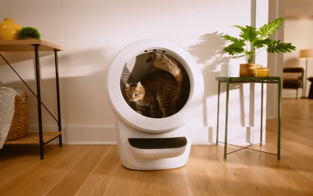 How to Clean Litter Robot 4? Most Effective Methods Revealed